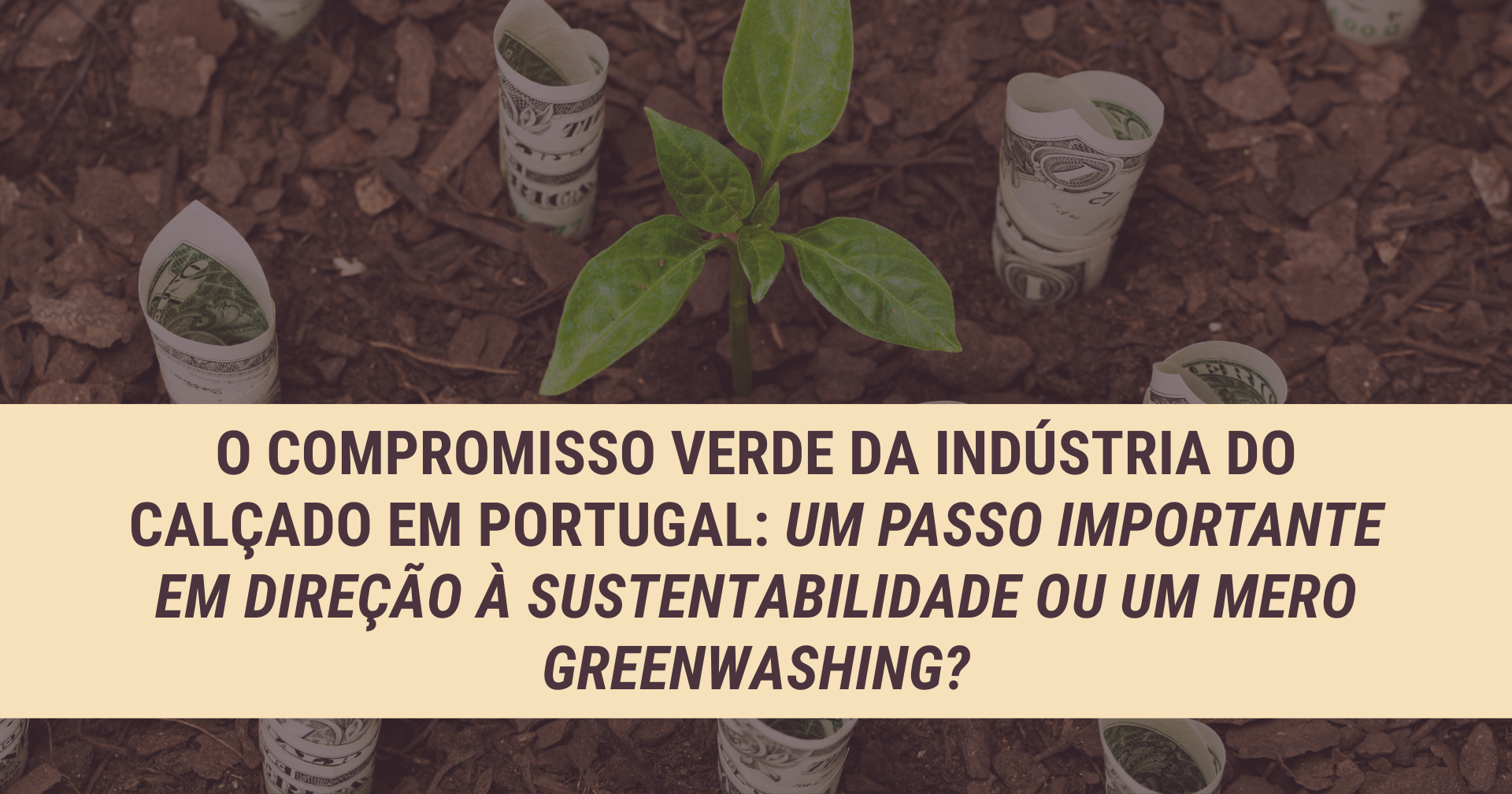O Compromisso Verde da indústria do calçado em Portugal: um passo importante em direção à sustentabilidade ou um mero greenwashing?